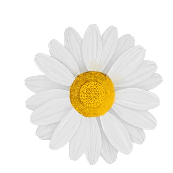 Daisy Thumbnail