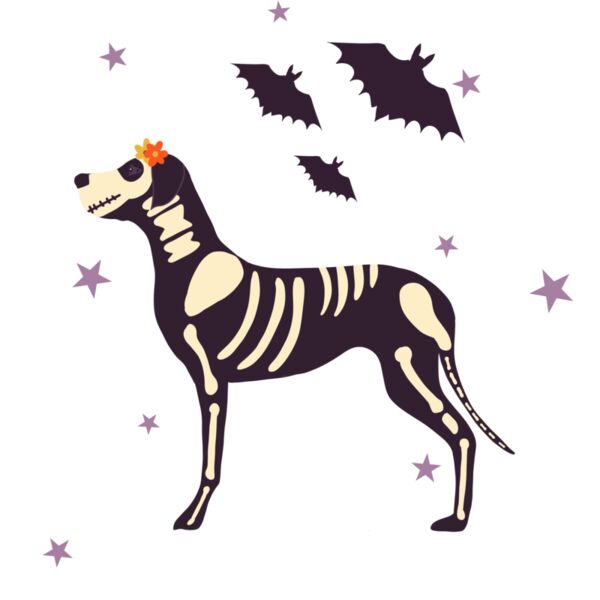 Greatdaneskeletonfinal Thumbnail